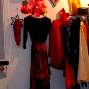 Women's Dress Gorgeous Design by R&K size 6